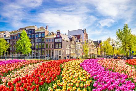 Przepiękny Amsterdam